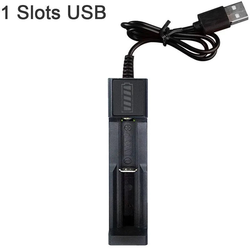 Lithium Battery Charger USB Smart Charger