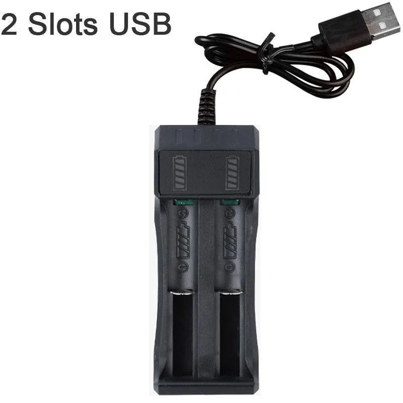 Lithium Battery Charger USB Smart Charger